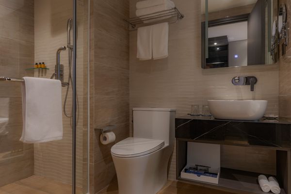 PREMIER - CLASSIC TWIN CITY VIEW