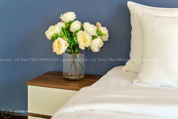 VT-STP Penthouse AZ 31G