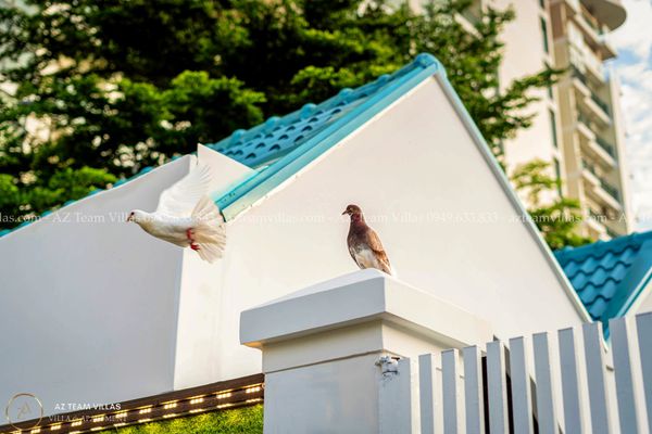 VT-STP-LC.BTB AZ 195