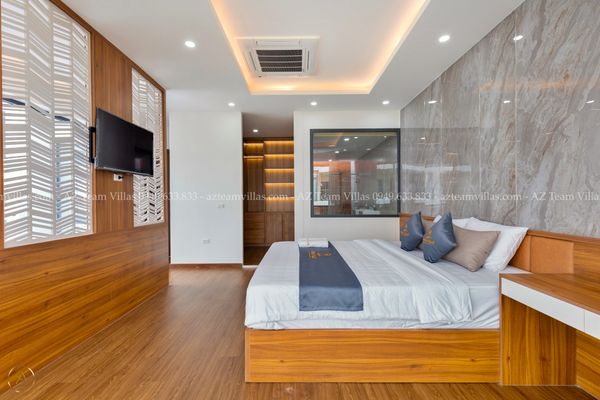 VT-PAL-LC.ARIA AZ 38