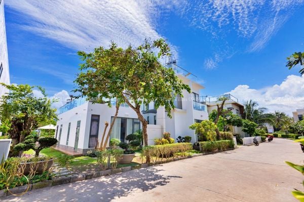 VT-PAL-LC.ARIA AZ 41