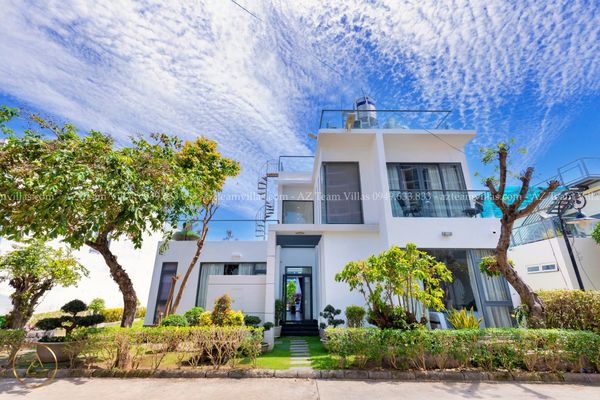 VT-PAL-LC.ARIA AZ 41