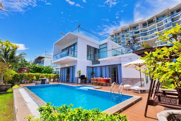 VT-PAL-LC.ARIA AZ 41