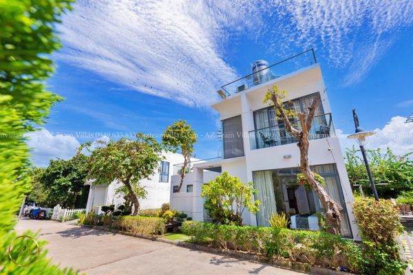 VT-PAL-LC.ARIA AZ 41