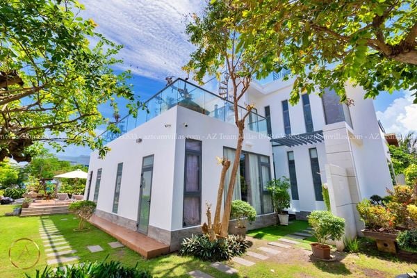 VT-PAL-LC.ARIA AZ 41