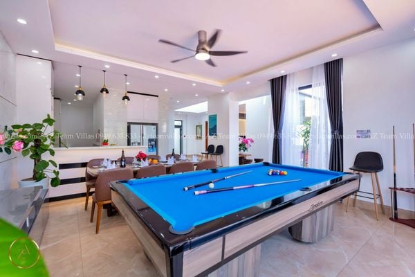 VT-PAL-LC.ARIA AZ 41