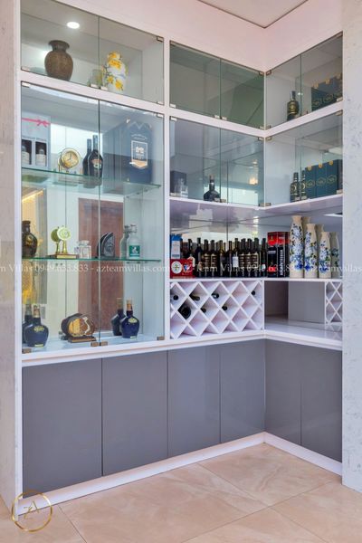 VT-PAL-LC.ARIA AZ 41