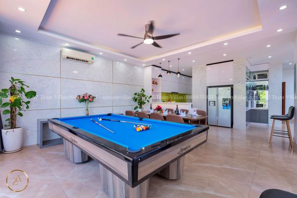 VT-PAL-LC.ARIA AZ 41