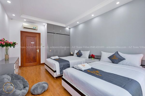 VT-PAL-LC.ARIA AZ 41