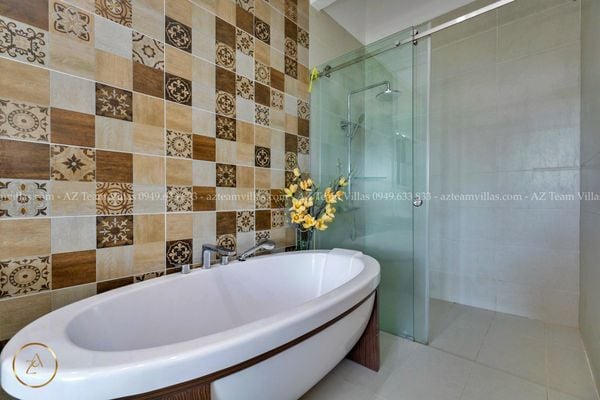 VT-PAL-LC.ARIA AZ 41