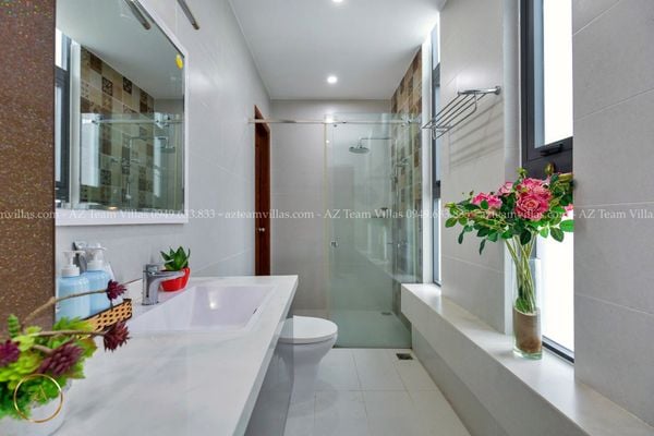 VT-PAL-LC.ARIA AZ 41