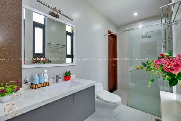 VT-PAL-LC.ARIA AZ 41