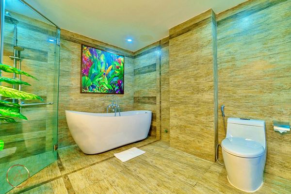 VT-SMB Penthouse AZ 31B