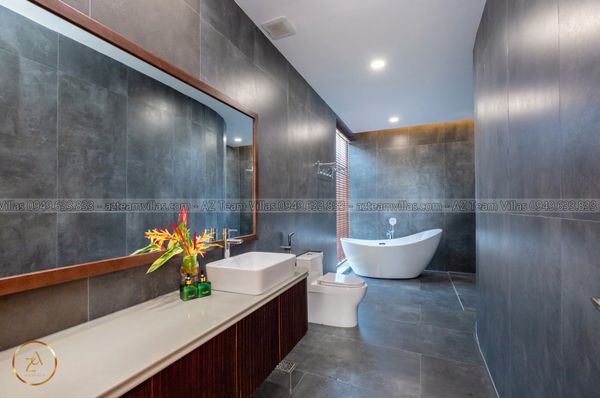 VT-MER-LC.ARIA AZ 105