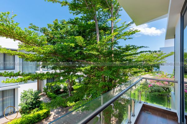 VT-MER-LC.ARIA AZ 105