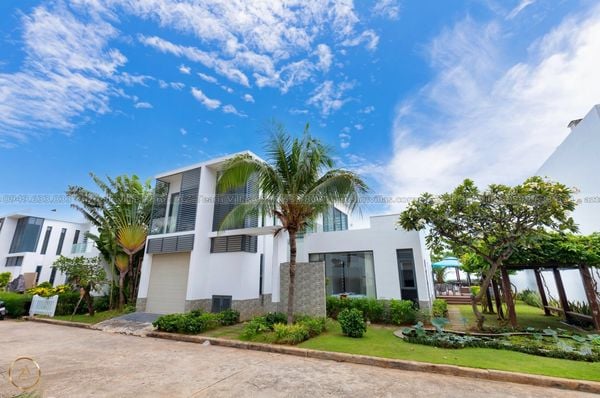 VT-RB-LC.ARIA AZ 138