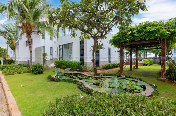 VT-RB-LC.ARIA AZ 138