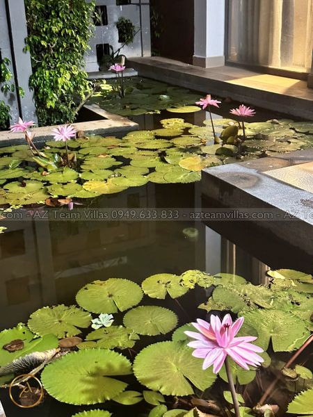 OCEAN-TN-3PN-VIEWBIEN-AZ 1304