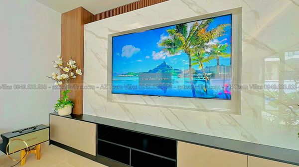 VT-MER-LC.ARIA AZ 106