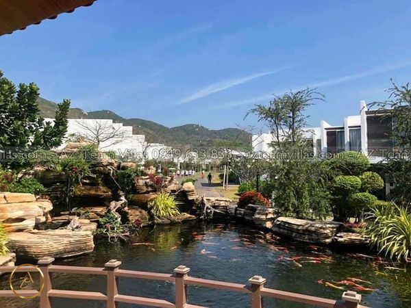 OCEAN-TN-4PN-GANBIEN-AZ 01