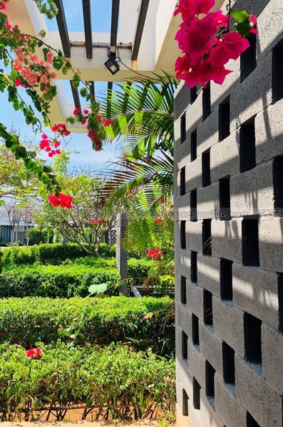 OCEAN-TN-4PN-GANBIEN-AZ 01