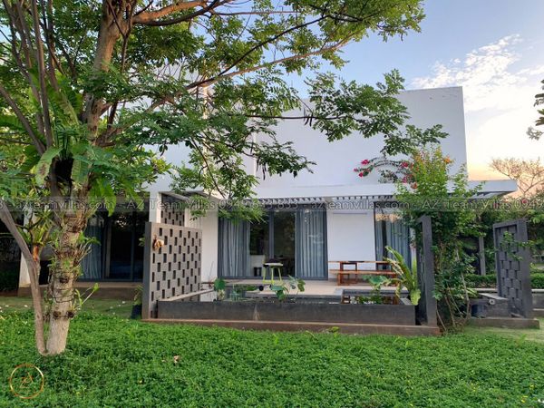 OCEAN-TN-4PN-GANBIEN-AZ 01