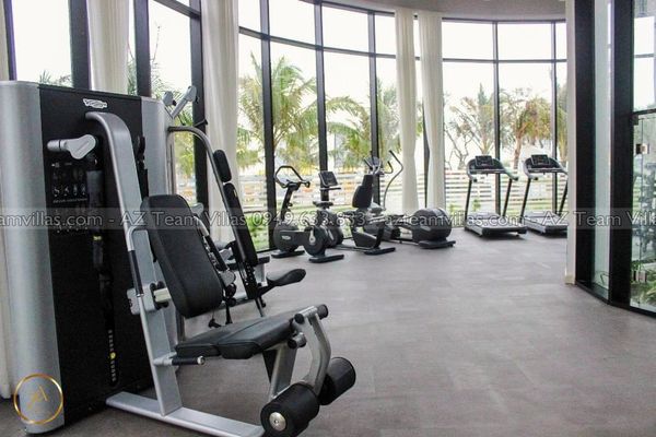 OCEAN-TN-4PN-GANBIEN-AZ 01