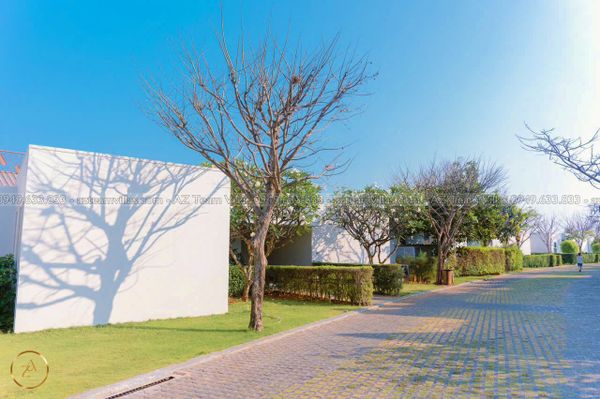 OCEAN-TN-6PN-VIEWBIEN-AZ 1508