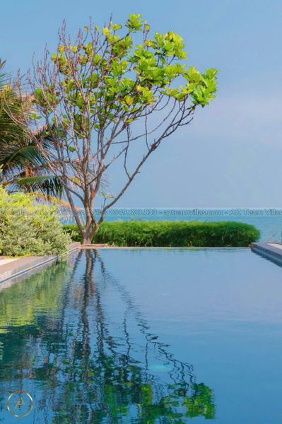 OCEAN-TN-6PN-VIEWBIEN-AZ 1508