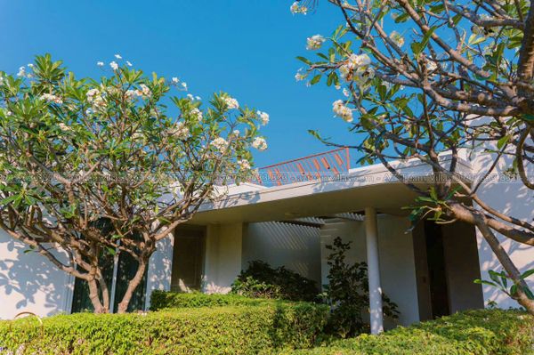 OCEAN-TN-6PN-VIEWBIEN-AZ 1508