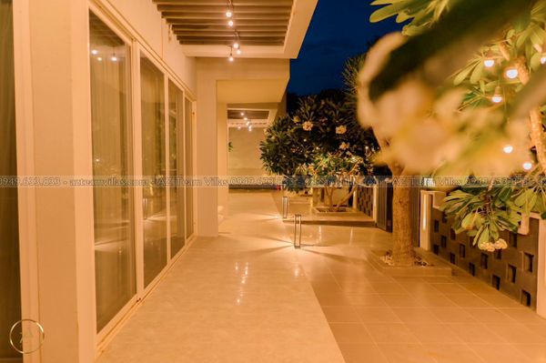 OCEAN-TN-7PN-VIEWBIEN-AZ 1307