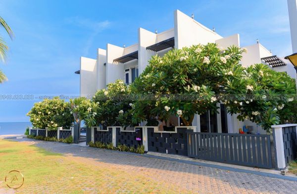 OCEAN-TN-7PN-VIEWBIEN-AZ 1307