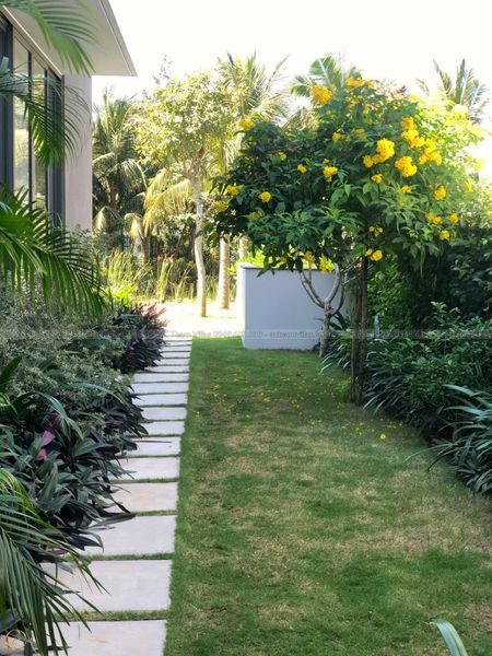 SANC-4PN-VIEWSONG-AZ 68