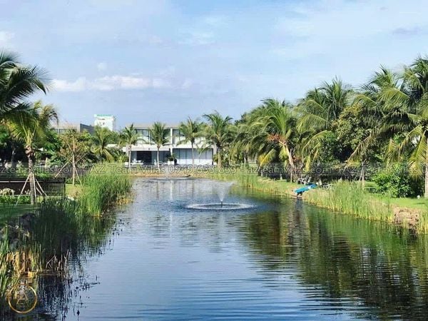 SANC-4PN-VIEWSONG-AZ 68