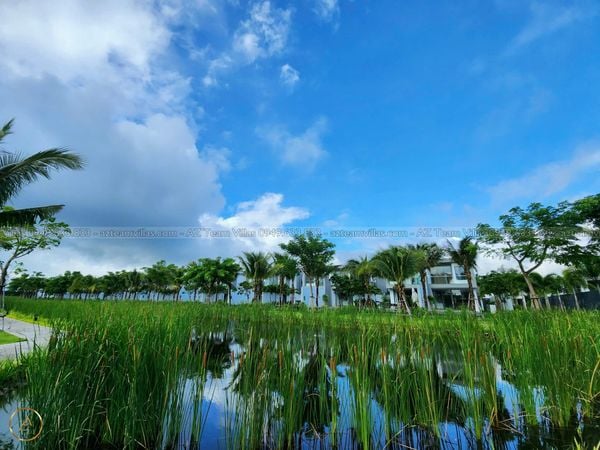 SANC-3PN-VIEWSONG-AZ 81