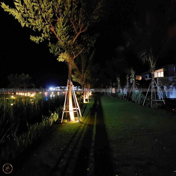 SANC-3PN-VIEWSONG-AZ 81