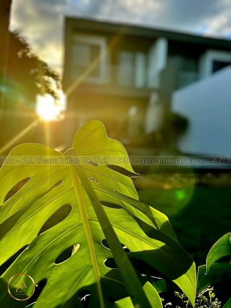 SANC-3PN-VIEWSONG-AZ 81