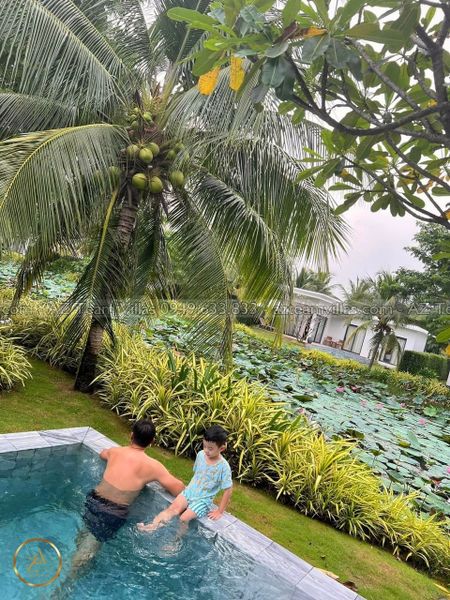 COAS-TN-3PN-VIEWHO-AZ 01