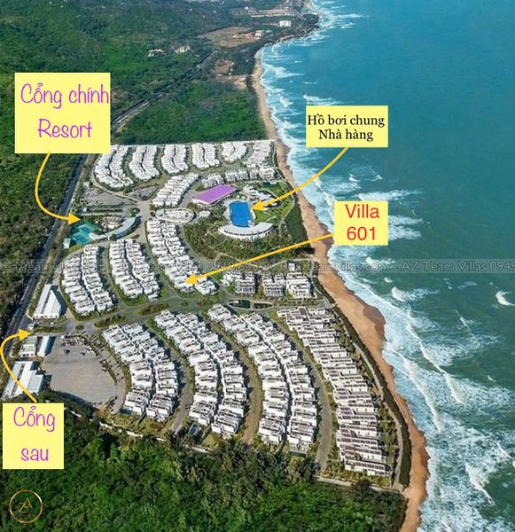 OCEAN-TN-4PN-GANBIEN-AZ 601