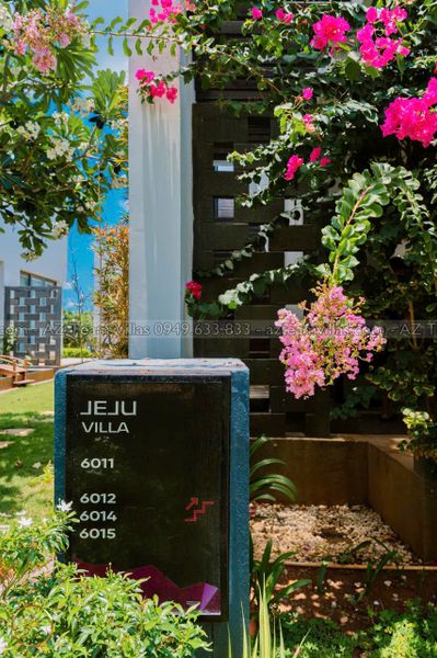 OCEAN-TN-4PN-GANBIEN-AZ 601