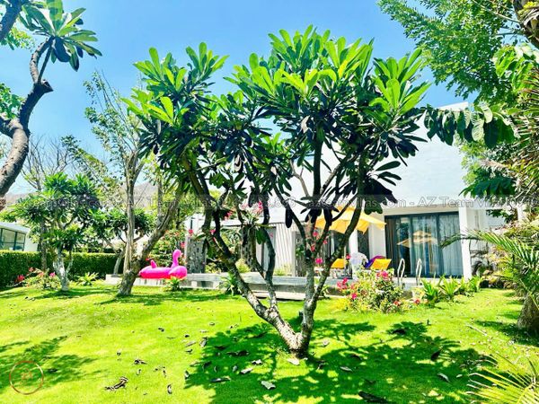 OCEAN-TN-4PN-GANBIEN-AZ 601