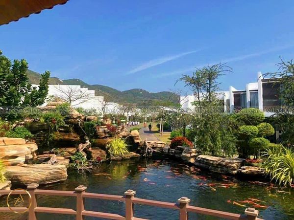 OCEAN-TN-5PN-VIEWBIEN-AZ 1507