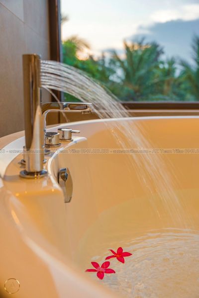 SANC-5PN-VIEWSONG-AZ 67