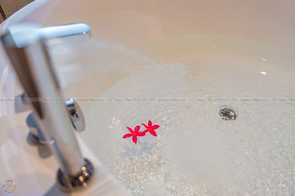 SANC-5PN-VIEWSONG-AZ 67