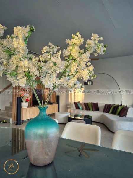 SANC-4PN-VIEWSONG-AZ 65