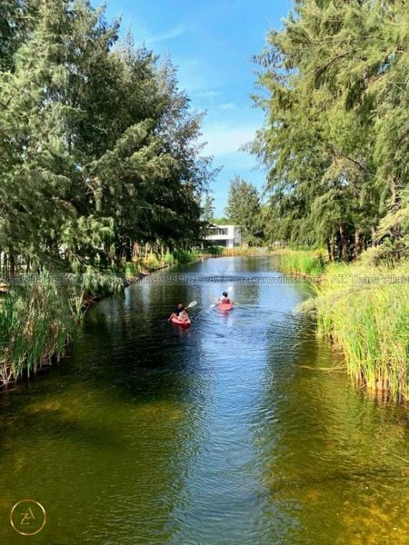 SANC-4PN-VIEWSONG-AZ 65