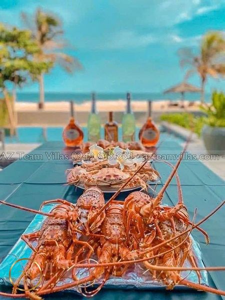 SANC-4PN-VIEWBIEN-AZ 01