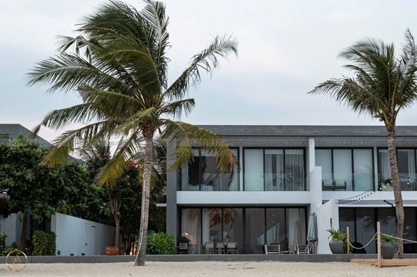 SANC-4PN-VIEWBIEN-AZ 01