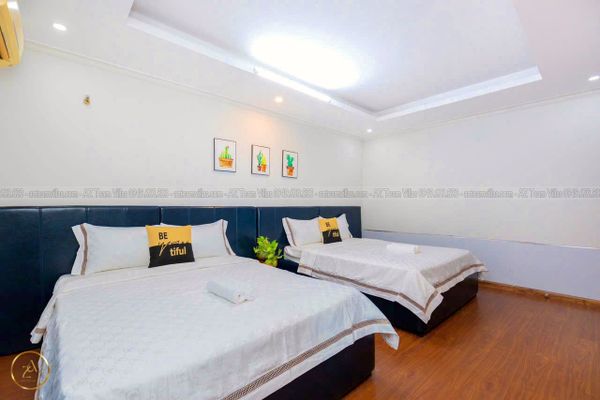 VT-OASKY-TRUHO-AZ 303