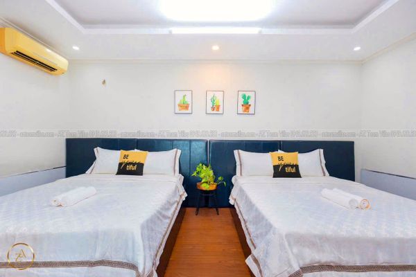 VT-OASKY-TRUHO-AZ 303